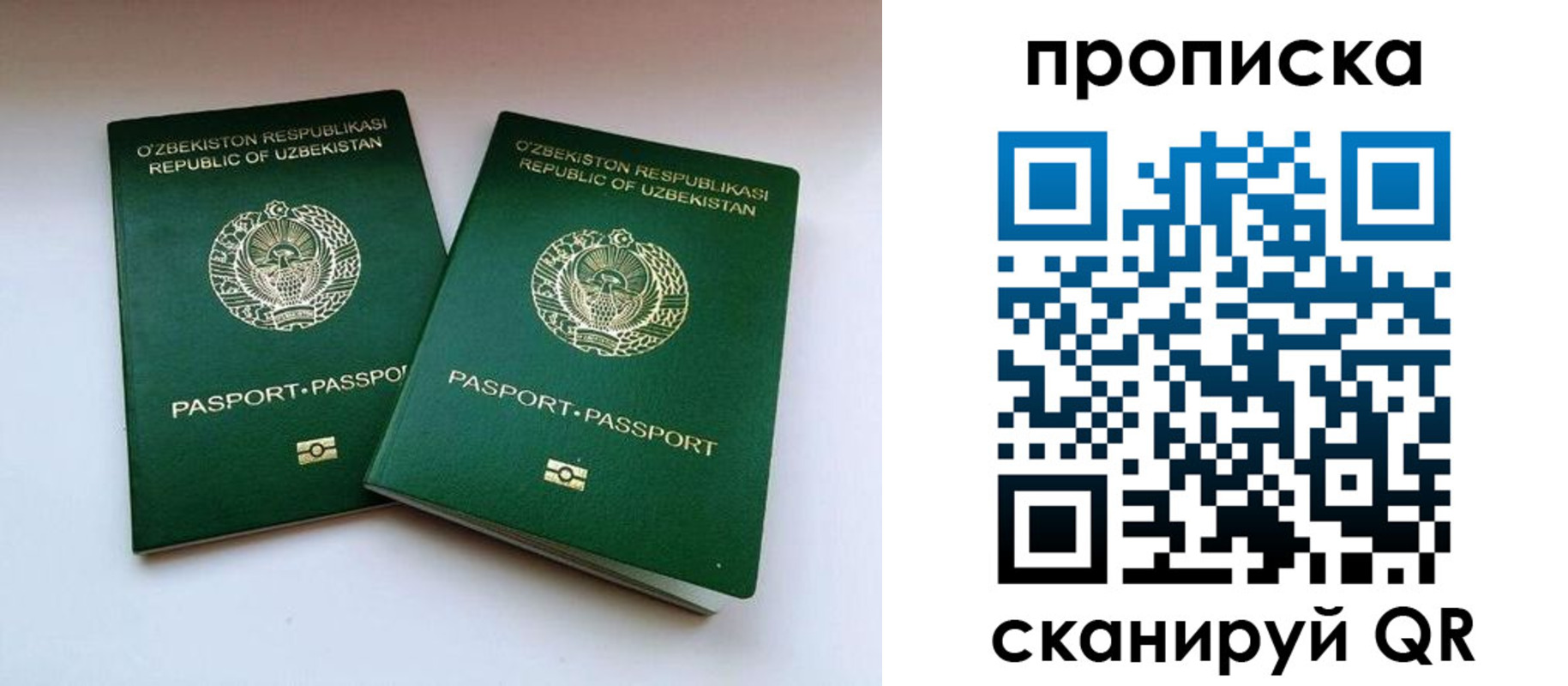 прописка поиск в Шумихе